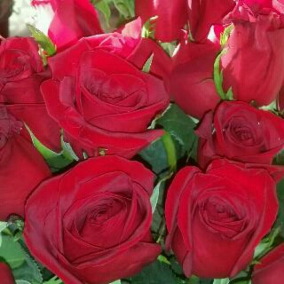 Profile Picture of Ivy Garcia (@ivylove1224) on Poshmark