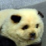 Profile Picture of Tyler Rochakim (@tlr360) on Instagram