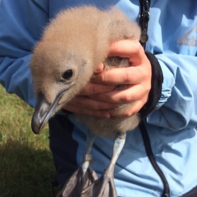 Profile Picture of Phoebe Owen (@Phoebe0wen) on Twitter