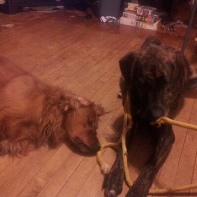 Profile Picture of Mark Alan Ebert (@@MaebertMark) on Twitter