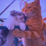 Profile Picture of G O Z A L E Z (@susy.gonzalez22) on Instagram