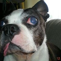 Profile Picture of Bj Rutledge (@bj-rutledge) on Quora