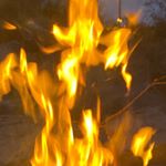 Profile Picture of Cody Fox (@codylmaooo) on Instagram