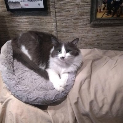 Profile Picture of Bill Clair (@BillClair3) on Twitter