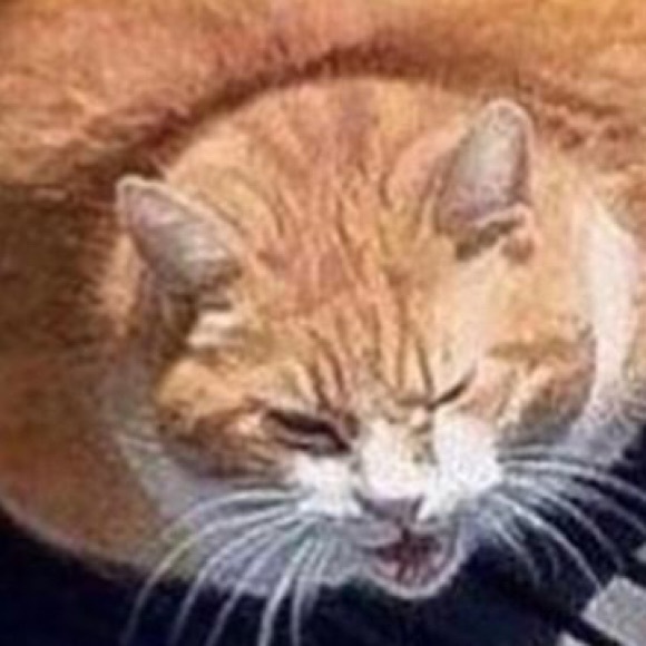 Profile Picture of Jacob Welbourne (@slugboyo) on Poshmark