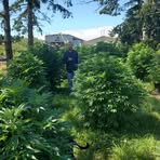 Profile Picture of Nathan Holmes (@nathan.mehlenbacher) on Facebook