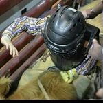 Profile Picture of danny lynn (@dannylynn114) on Instagram