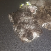 Profile Picture of James Pappas (@jamespappas382) on Youtube