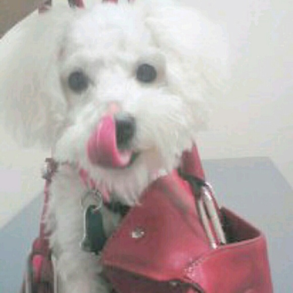 Profile Picture of Merchell Love (@bossylove) on Poshmark