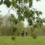 Profile Picture of Janice Chapman (@janice.chapman.560) on Instagram