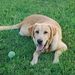 Profile Picture of Kay Zimarino (@kkzim) on Pinterest