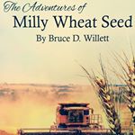 Profile Picture of Bruce Willett (@willettbruce) on Instagram