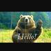 Profile Picture of Darrell Randall (@darrell.randall.7) on Facebook