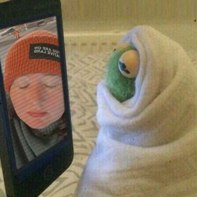 Profile Picture of Ariel Elliott (@arielelliott50) on Pinterest