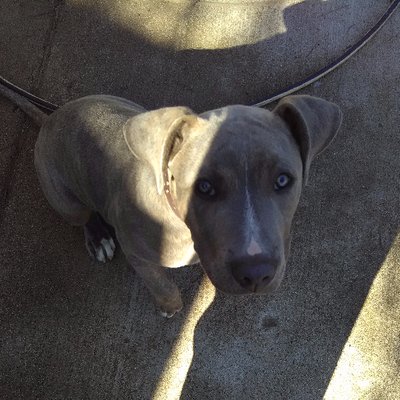 Profile Picture of Mark McMullen (@rockingmtranch1) on Twitter