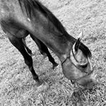 Chase Goodell - Instagram Profile Picture of Chase Goodell (@chase.goodell) on Instagram