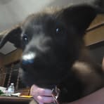 Cooper Howard - Facebook Profile Picture of Cooper Howard (@Cooper-Howard) on Facebook