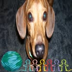 Profile Picture of Nancy Blacker (@Nancy-Blacker) on Facebook