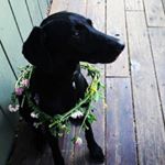 Profile Picture of Ophelia Wade (@opheliawade) on Instagram