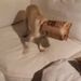 Profile Picture of Jeffery Neely (@jefferyaneely) on Pinterest