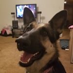 Profile Picture of Matt Gonzales (@mattg_hba) on Instagram