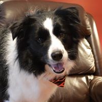 Profile Picture of Gary Staley (@gary-staley-2) on Quora