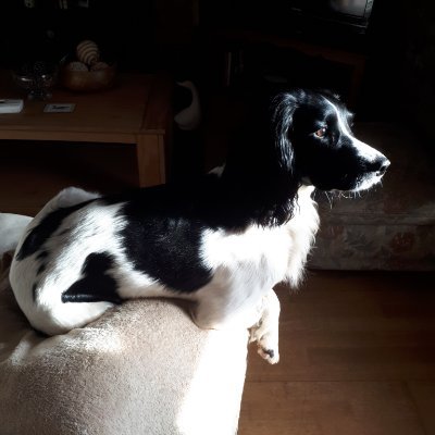 Profile Picture of Gary Hird (@GaryHird4) on Twitter