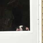 Profile Picture of Damien Fletcher (@hms_2019_dj) on Instagram