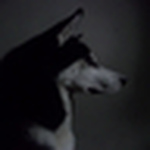 Profile Picture of Camilo  Serrano Valencia (@camilo serranov) on Flickr