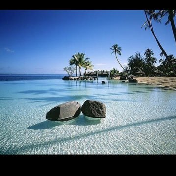 Profile Picture of Siran Krikorian (@sirankrikz) on Twitter