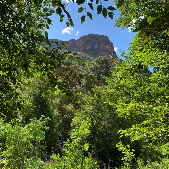 Profile Picture of Steven Herrera (@steveh96) on Poshmark