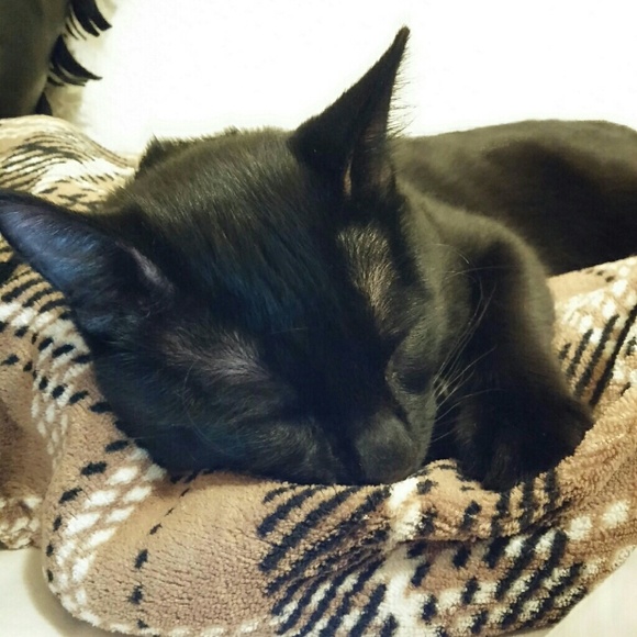 Profile Picture of Monida Sieng (@msieng07) on Poshmark