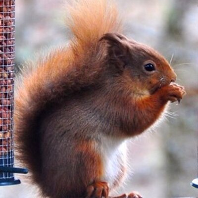 Profile Picture of Gavin Curran (@Gavcur) on Twitter