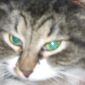 Profile Picture of Cleo Weston (@166445223) on Myspace