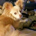 Profile Picture of Daniel Joseph Whicker (@danielwhicker) on Instagram