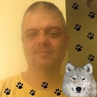 Profile Picture of Robert Leviness (@robert-leviness) on Quora