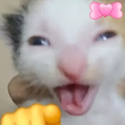 Profile Picture of Not Curt Alexander 😊 (@curtclanor2028) on Youtube