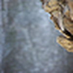 Profile Picture of Stephanie Casey (@stephanieccasey) on Flickr