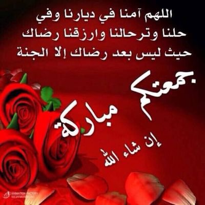 Profile Picture of Basma Adam (@BasmaAdam11) on Twitter