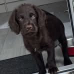 Profile Picture of Rich Curson (@Rich-Curson) on Facebook