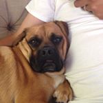 stephen.forgione - Instagram Profile Picture of stephen.forgione (@stephen.forgione) on Instagram