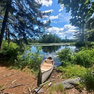 Profile Picture of Michael Doyle (@michaeldoylepainter) on Instagram