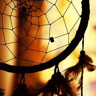 Profile Picture of Crystal Livingston (@Crystal-Livingston) on Facebook