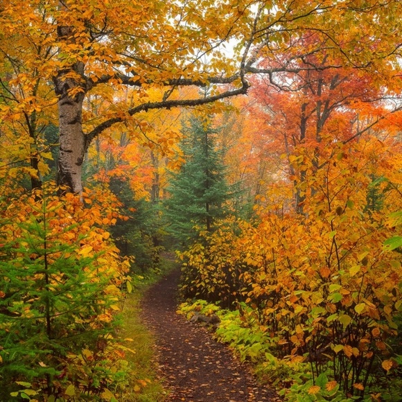 Profile Picture of Jade Lobie (@jlobie) on Poshmark