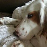 Jillian Waters - Instagram Profile Picture of Jillian Waters (@jilliangirly) on Instagram