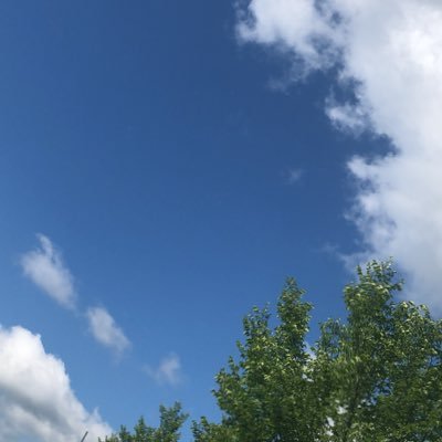 Profile Picture of Simon Zeng (@SimonZeng12) on Twitter