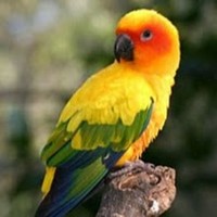 Profile Picture of Brendan Soeteber (@brendan-soeteber) on Quora
