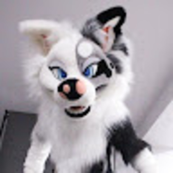 Profile Picture of Melanie Pieplow (@09222010fcstu) on Poshmark