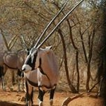 Profile Picture of michael (@michaelwalkinshaw02) on Instagram