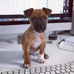 Profile Picture of Leonard (@leonardslyfe) on Instagram